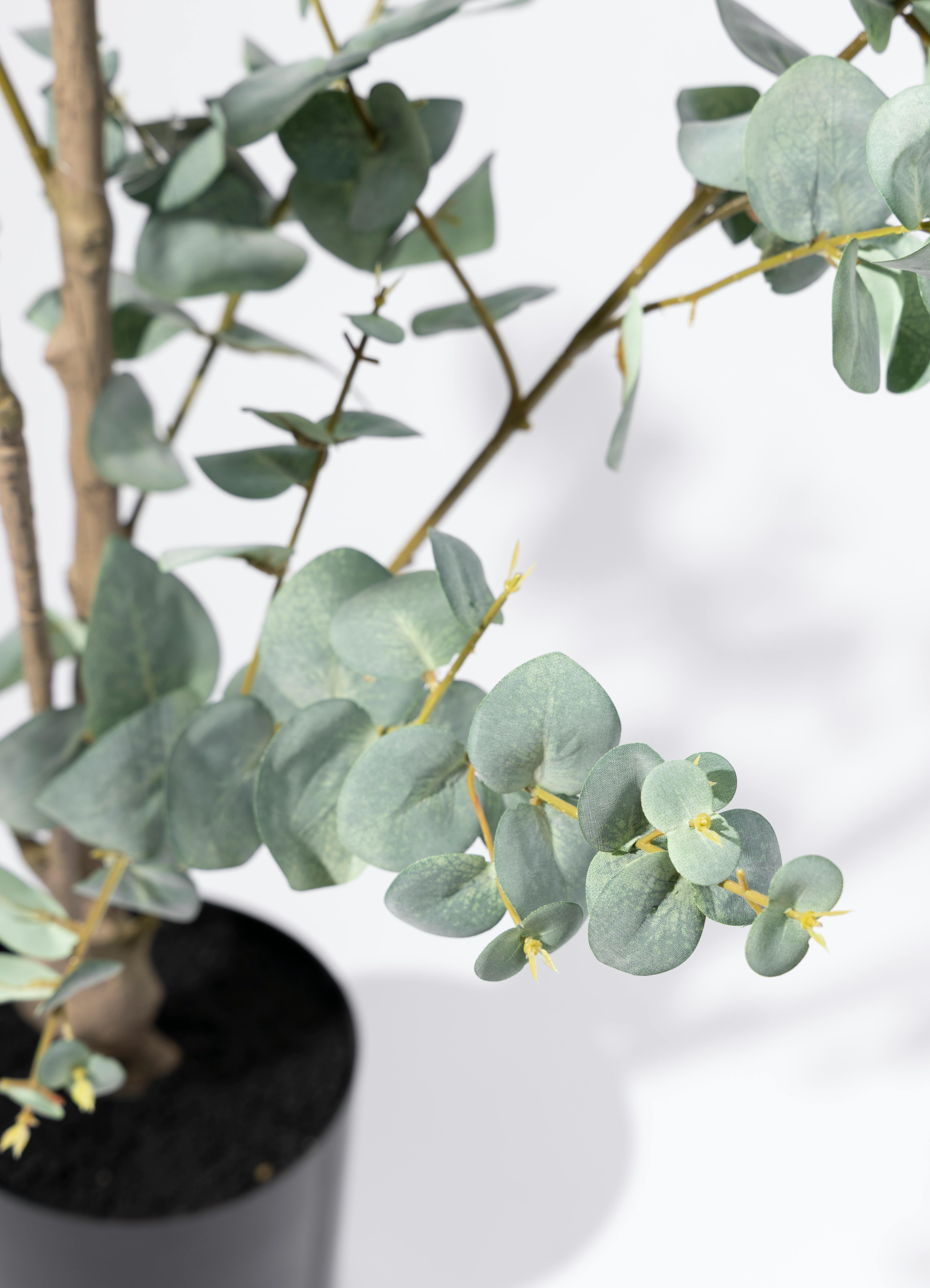 観葉植物 【フェイクグリーン】 ユーカリ 150cm エステリ ピンク 付き