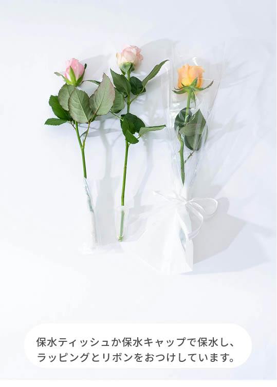 産地直送 バラ 1輪 花束 ミックス 20本用／愛知 榊原薔薇園からお届け