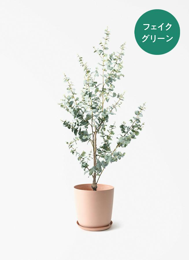 観葉植物 【フェイクグリーン】 ユーカリ 150cm エステリ ピンク 付き