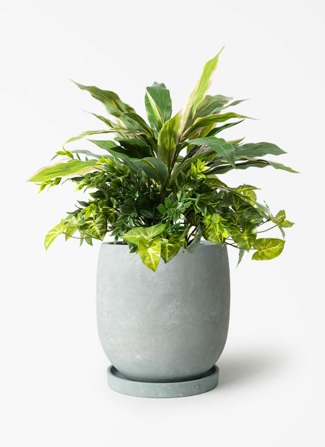 フェイクグリーン スパティフィラム 寄せ植え 45cm アイルエッグライト