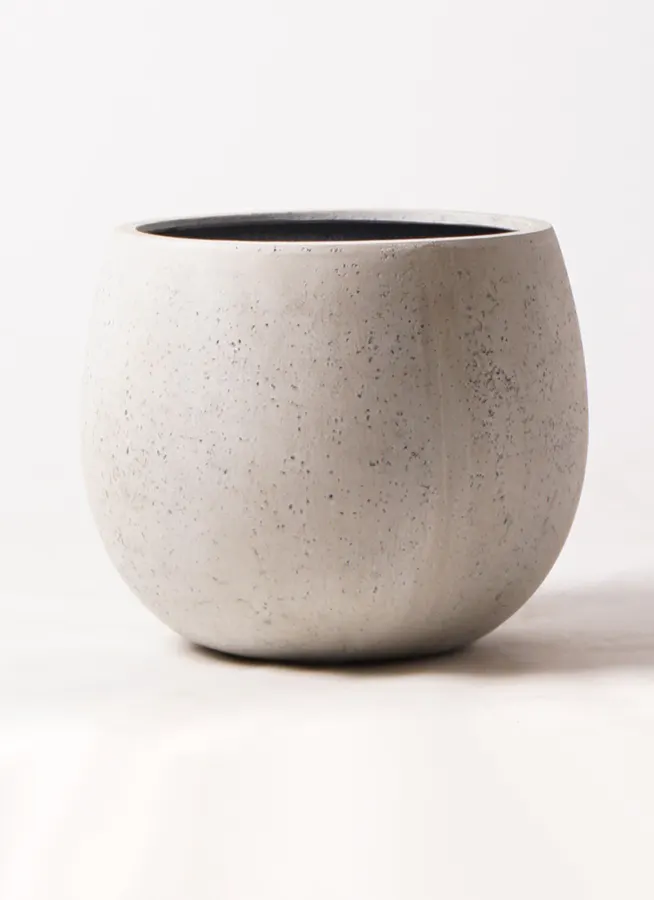 鉢カバー テラニアス バルーン アンティーク 8号鉢用 ホワイト  