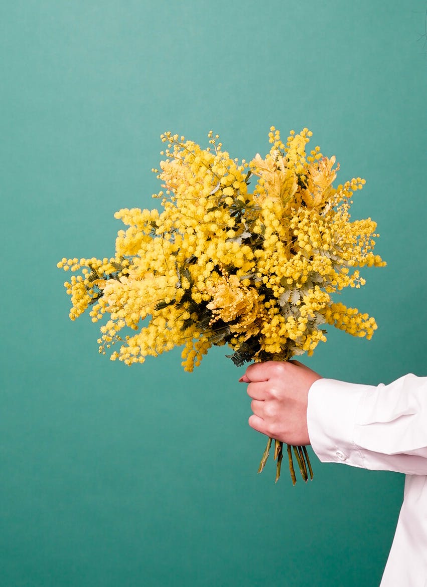 ミモザ 花束 イエロー S | 花束ならHitoHana(ひとはな)