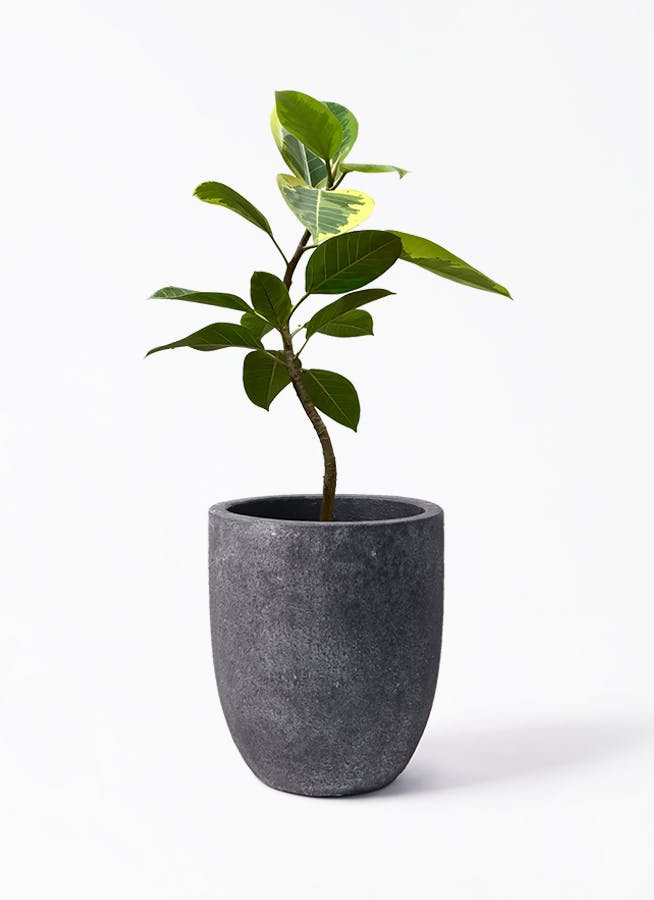 鉢カバー 黒・ブラック 8号 | 観葉植物の鉢ならHitoHana