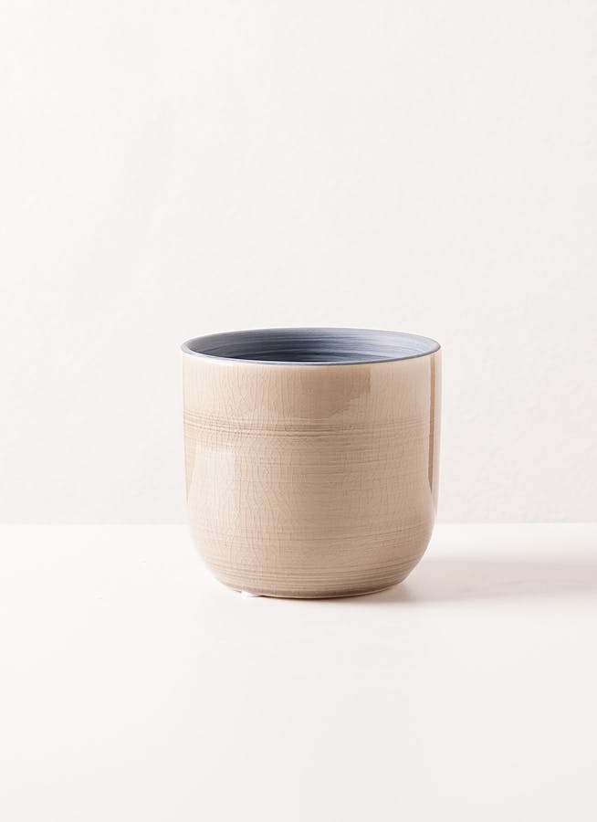 clay (クレイ) | 花瓶・フラワーベースならひとはな