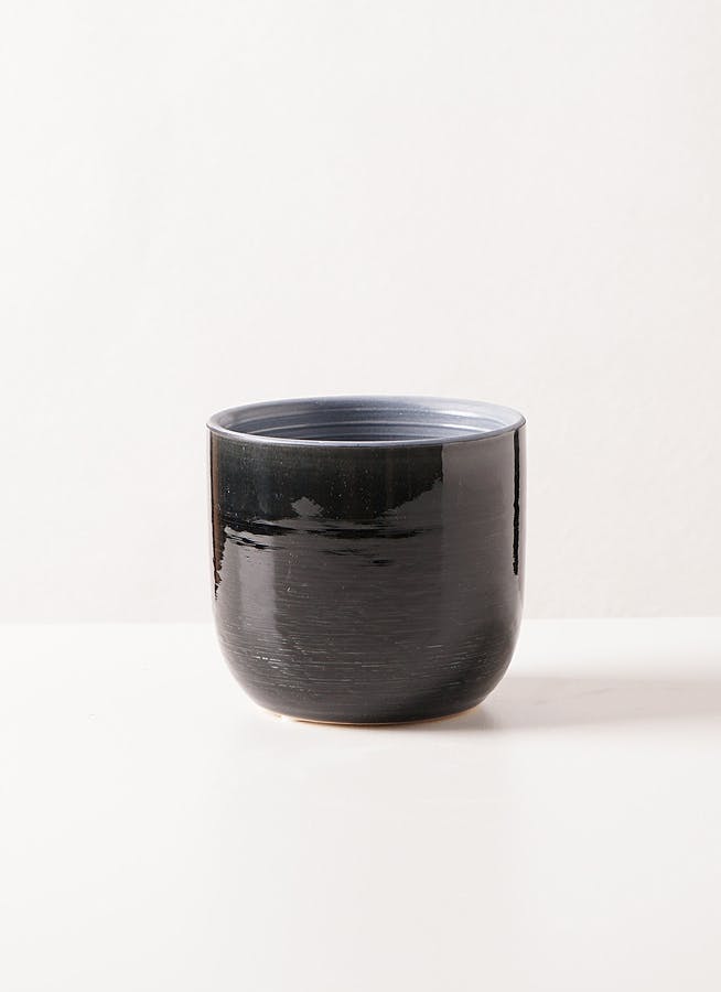 clay (クレイ) | 花瓶・フラワーベースならひとはな
