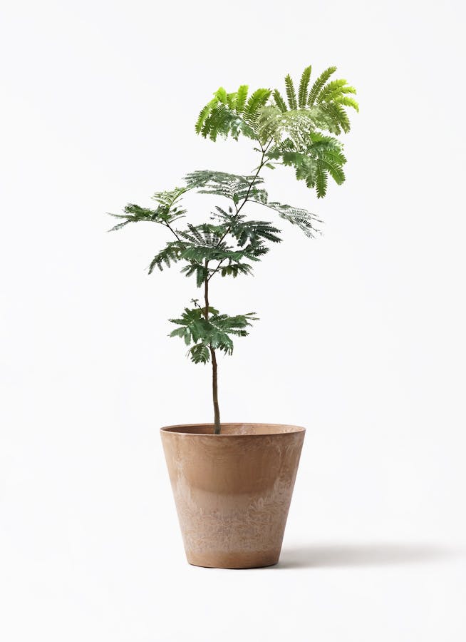 鉢カバー 茶・ブラウン 7号 | 観葉植物の鉢ならHitoHana