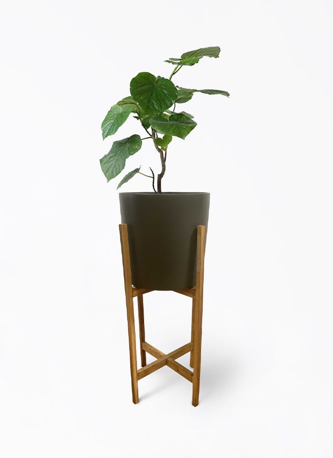 植木鉢　ウッドスタンドポット　 Clay  木製スタンド付き
