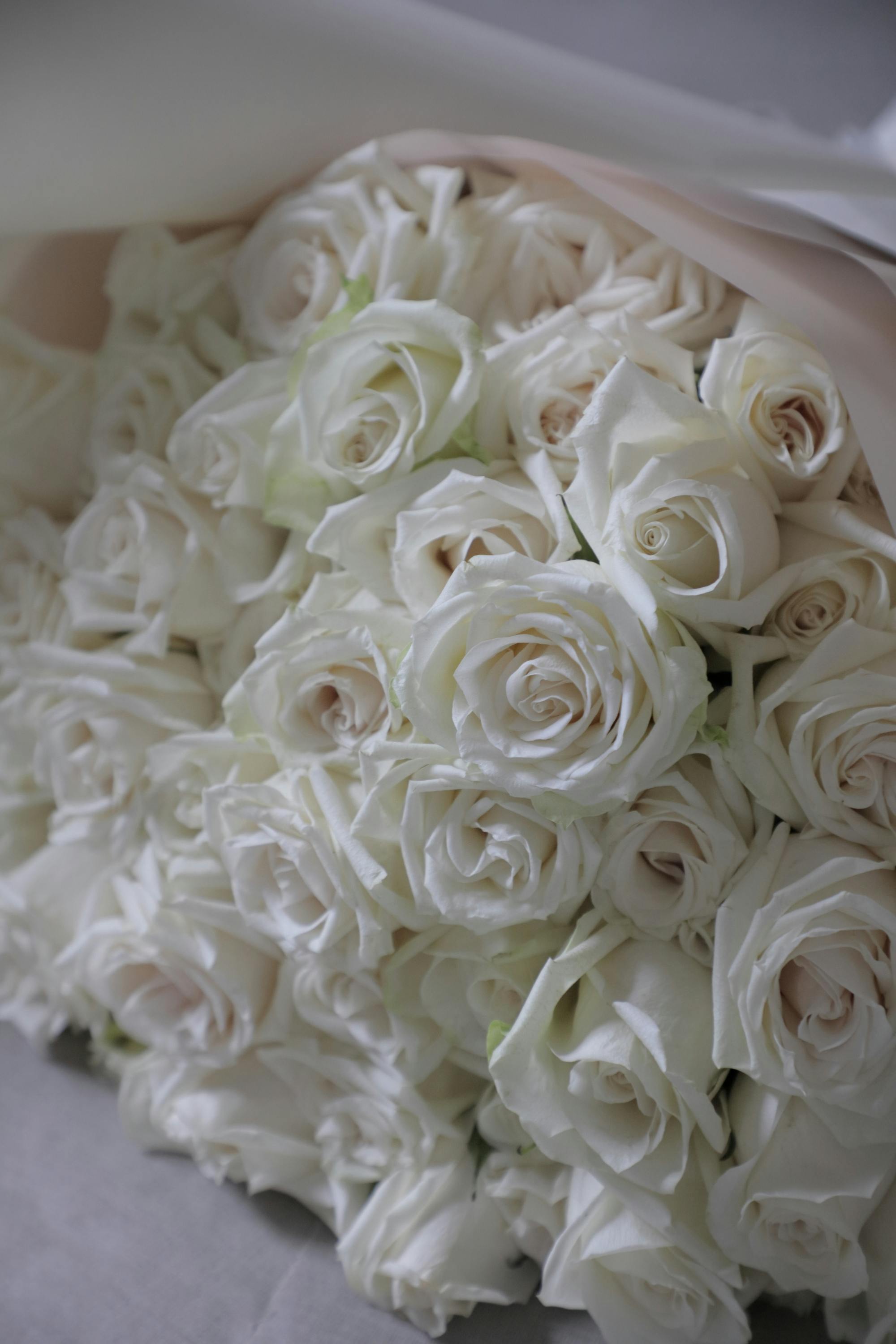 ホワイトユリとバラのロングブーケ ホワイトユリとバラのロングブーケ ホワイトユリとバラのロングブーケ ホワイトユリとバラのロングブーケ