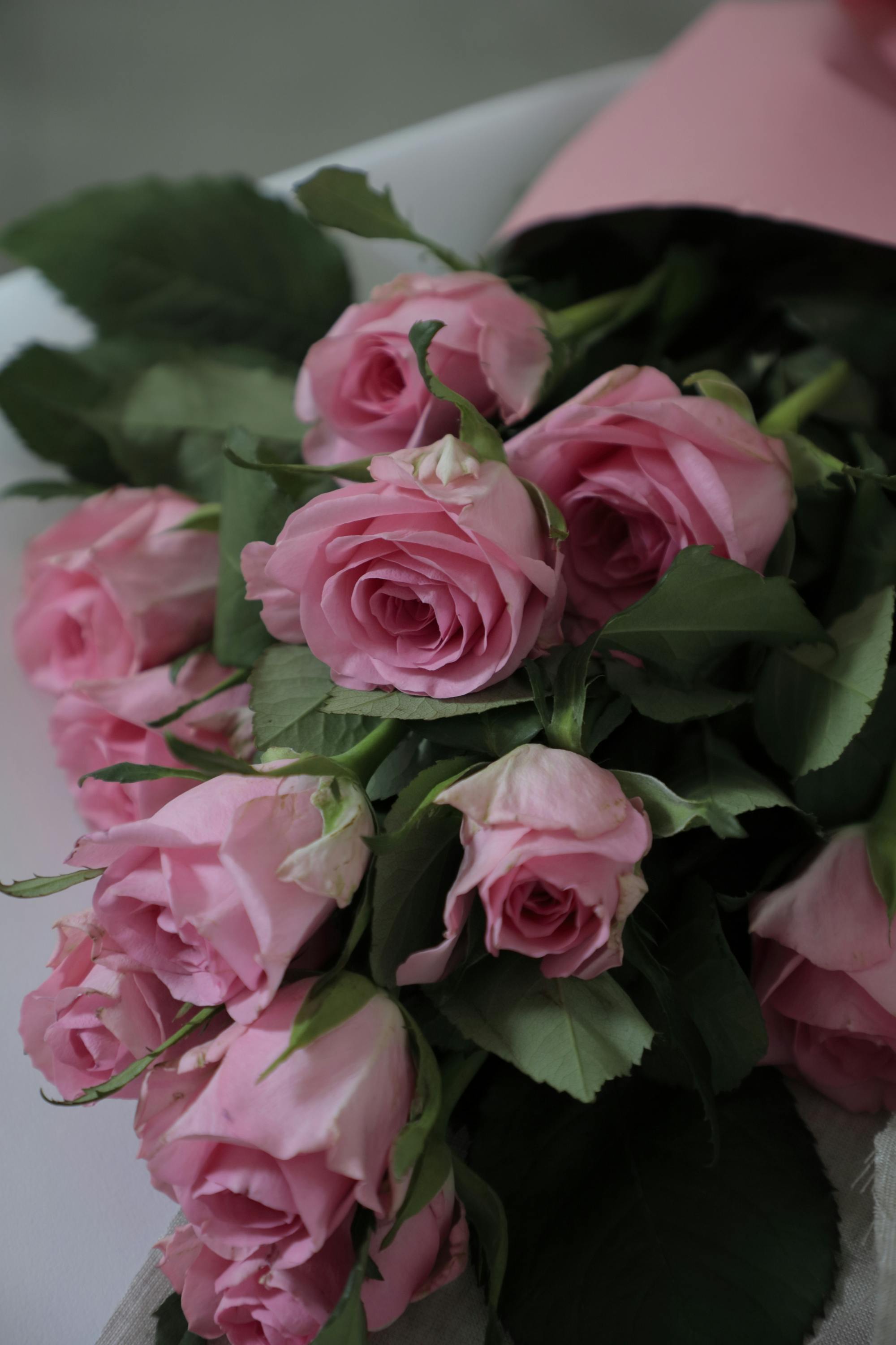 バラ 12本ブーケ ピンク | 花束ならHitoHana(ひとはな)