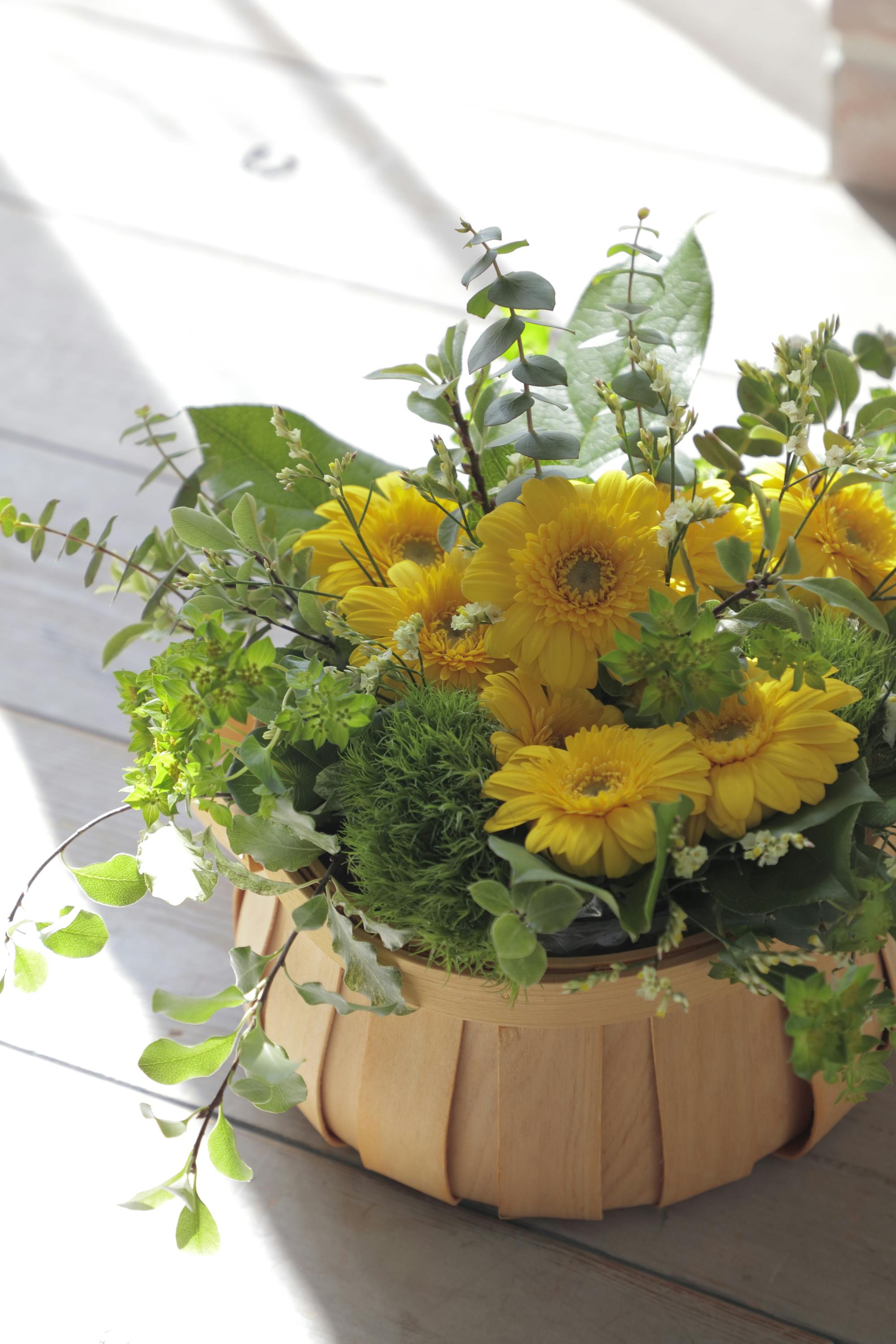 記念日の贈り物に☆初夏の爽やかさ☆オレンジガーベラのバスケット 記念日の贈り物に☆初夏の爽やかさ☆オレンジガーベラの