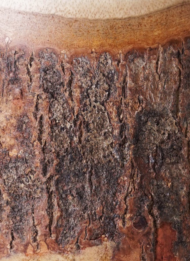 鉢カバー Mango Wood(マンゴーウッド) 3号 #stem W9711 | 鉢