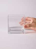 テラリウム容器が今熱い 通販でテラリウムを始めよう ひとはなノート