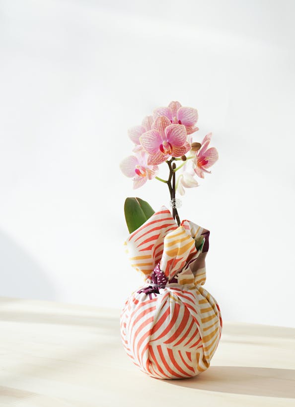 誕生日に贈る花の選び方・贈り方・ギフトアイデア【2024年版】 花通販Happyガイド | 誕生日に贈る花の選び方・贈り方・ギフトアイデア【2024年版】