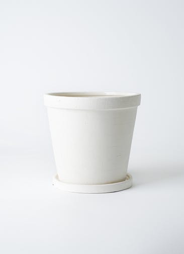 鉢カバー・植木鉢 ストーンウェア セラミック スタンダードポット 5号鉢用 White #stem C9374