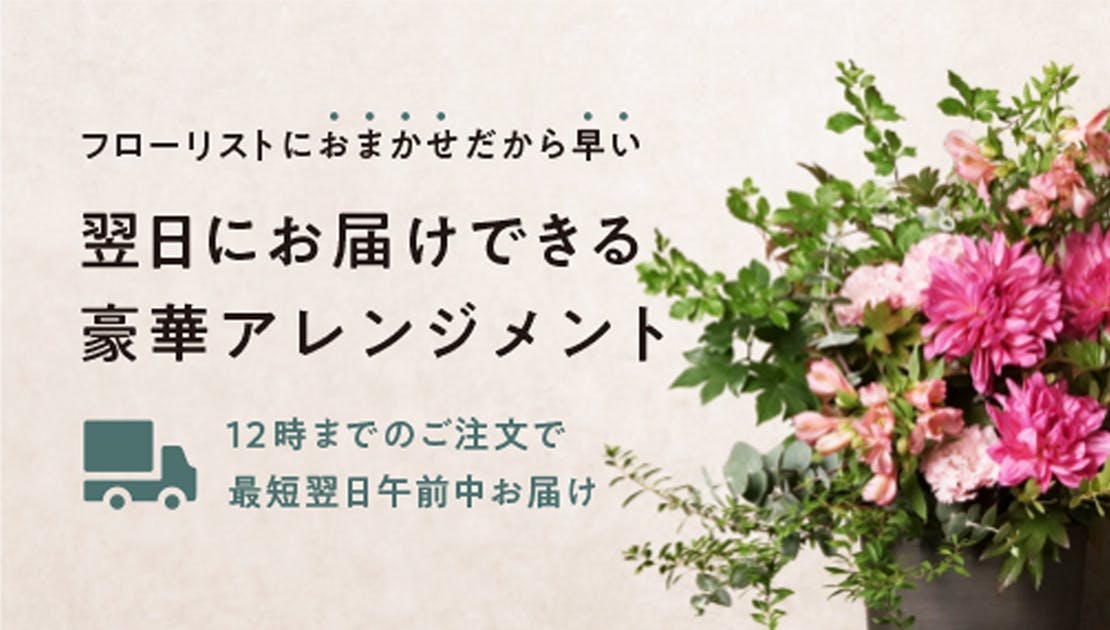 お祝いの花・観葉植物 | 通販専門店 HitoHana（ひとはな）