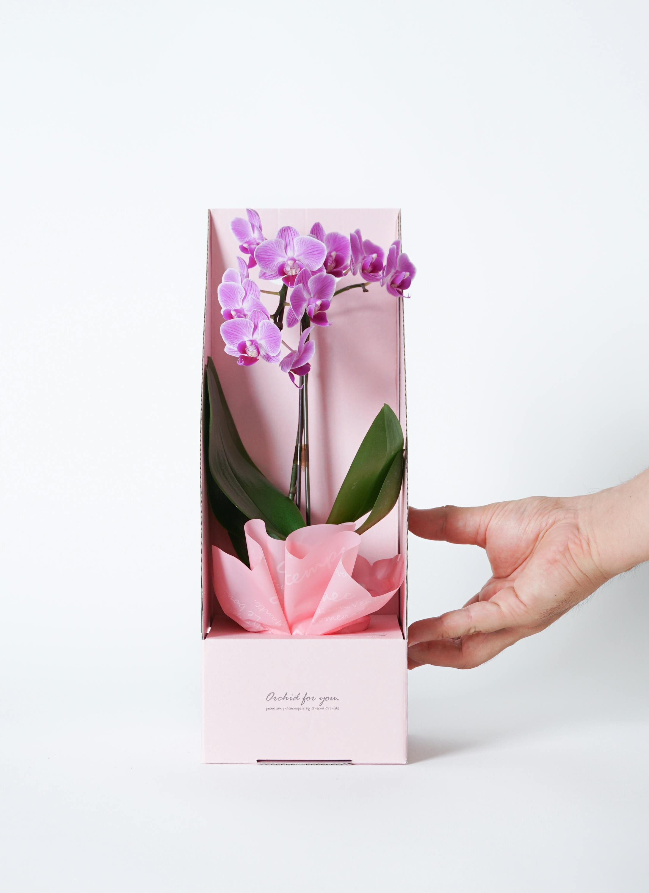 花籠 ( ピンク ) 1個 千日紅 小さい籠 紫 ピンク 可愛い花 造花 ミニバスケット