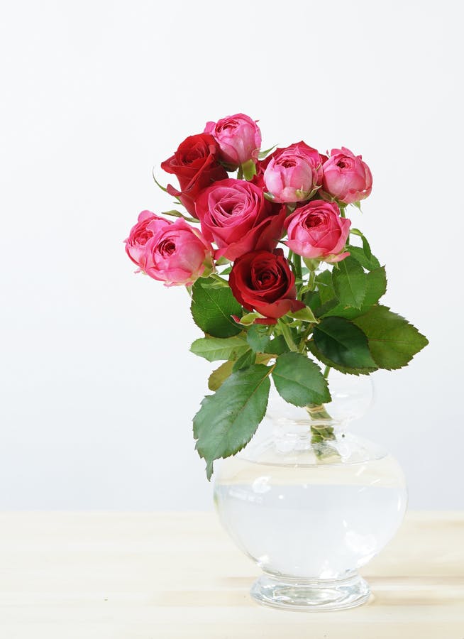 【産地直送】神生バラ園さんからお届け バラ 花束 レッド・ピンク（６本）