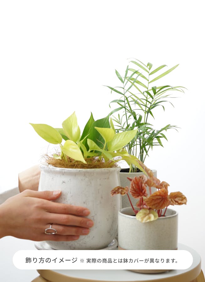 花瓶３号 - 花瓶・植木鉢のハンドメイド・クラフト作品・手仕事