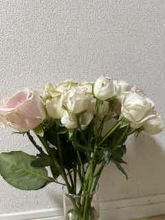 バラ 12本ブーケ ピンク | 花束ならHitoHana(ひとはな)