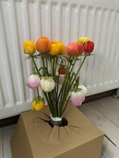 バラと白ブドウとシンビジウムの爽やか豪華特大リース♪♪☆NEW☆ 産地直送 シンビジウム 花束 ミックス 8本用／高知 石田蘭園から