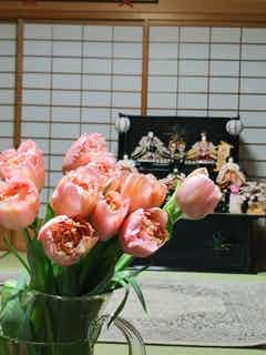 産地直送 チューリップ花束 ピンクマジック（10本入り）／富山 富山県