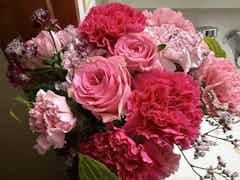 産地直送 ラナンキュラス 花束 ピンク M／福岡 コスモファーム野口から