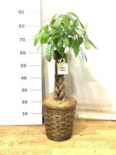 1_c9adb0d4-6cec-44d6-91b3-