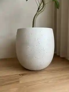 鉢カバー 15,000円 | お花と植物の通販 HitoHana（ひとはな）