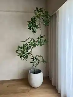 鉢カバー 15,000円 | お花と植物の通販 HitoHana（ひとはな）