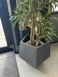 HitoHana プラントカバー 鉢カバー 15,000円 | お花と植物の通販 HitoHana（ひとはな）
