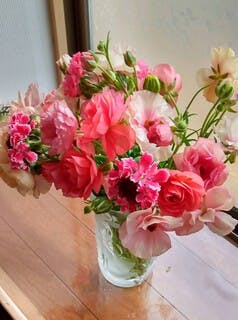 産地直送 ラナンキュラス 花束 ピンク M／福岡 すぎファームからお届け