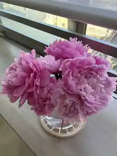 数量限定】三重 伊勢くすり本舗 スプレー咲き芍薬 花束 ピンク