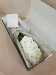 産地直送 スイートピー花束 ホワイトS（20本入り）ギフトラッピング付