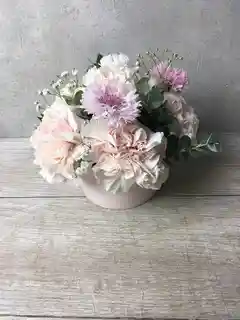 カーネーション アレンジメント ピンク XS カップタイプ