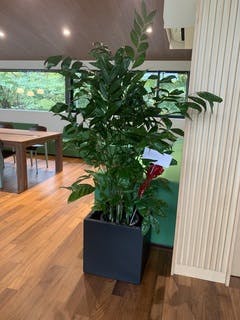 【中古】KONTON ベータ ファイバークレイ 10号鉢用 ブラック [B] 鉢カバー・FIBER CLAY(ファイバークレイ) | 通販サイトHitoHana（ひと