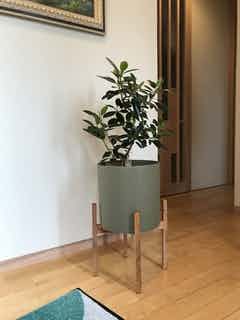 鉢カバー・KONTON HOLST(ホルスト) | 鉢カバーの通販ならひとはな