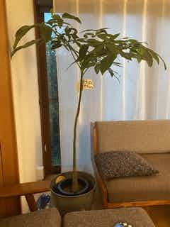 AC27D99E-CF80-4524-A2DB-