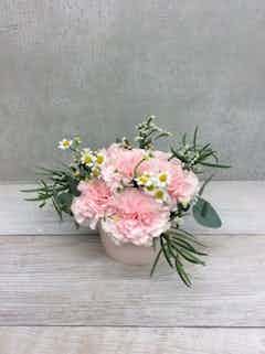 カーネーション アレンジメント ピンク XS カップタイプ