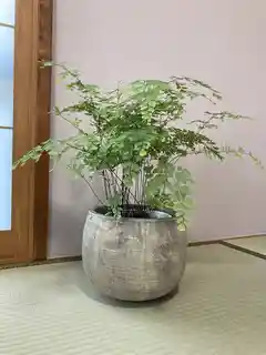 グリーンポット フリット バルーン ［クリーム］23cm 32cmセット　新品 楽天市場】フリット バルーン アンティーククリーム 32cmの通販