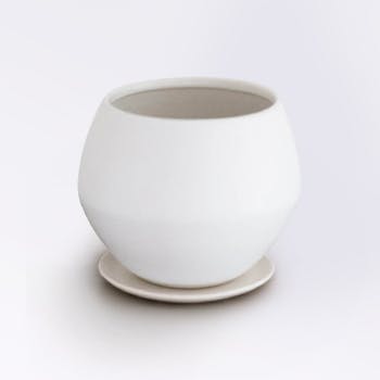 鉢カバーstemのランキング | 通販サイトHitoHana（ひとはな）