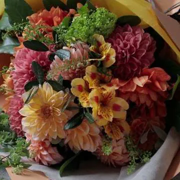 ダリアを色別に選ぶ フラワーギフトの通販ならひとはな