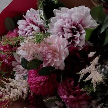 ダリアを色別に選ぶ フラワーギフトの通販ならひとはな