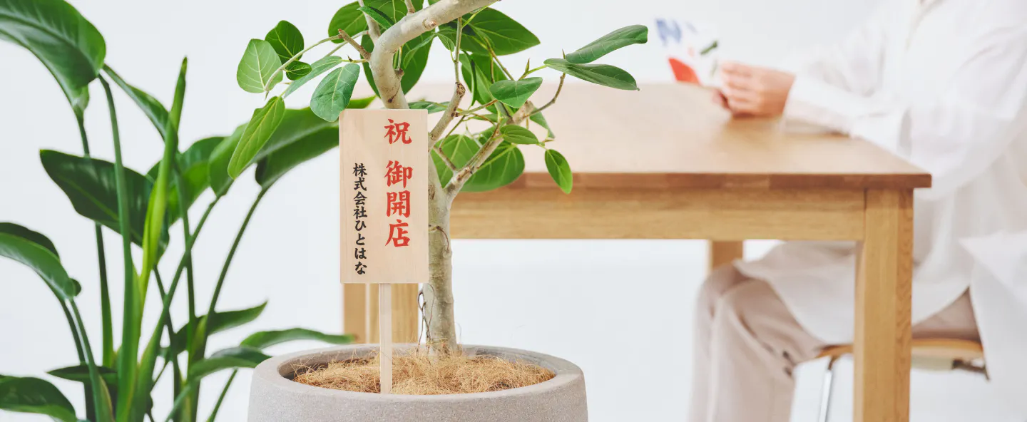 お祝いに贈る観葉植物 | 通販専門店 HitoHana（ひとはな）
