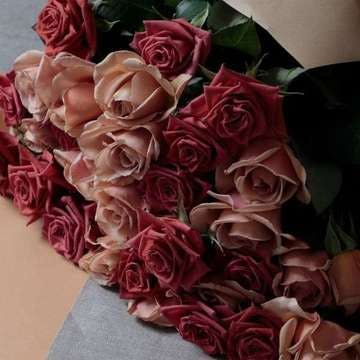 バラのギフト | HitoHana（ひとはな）