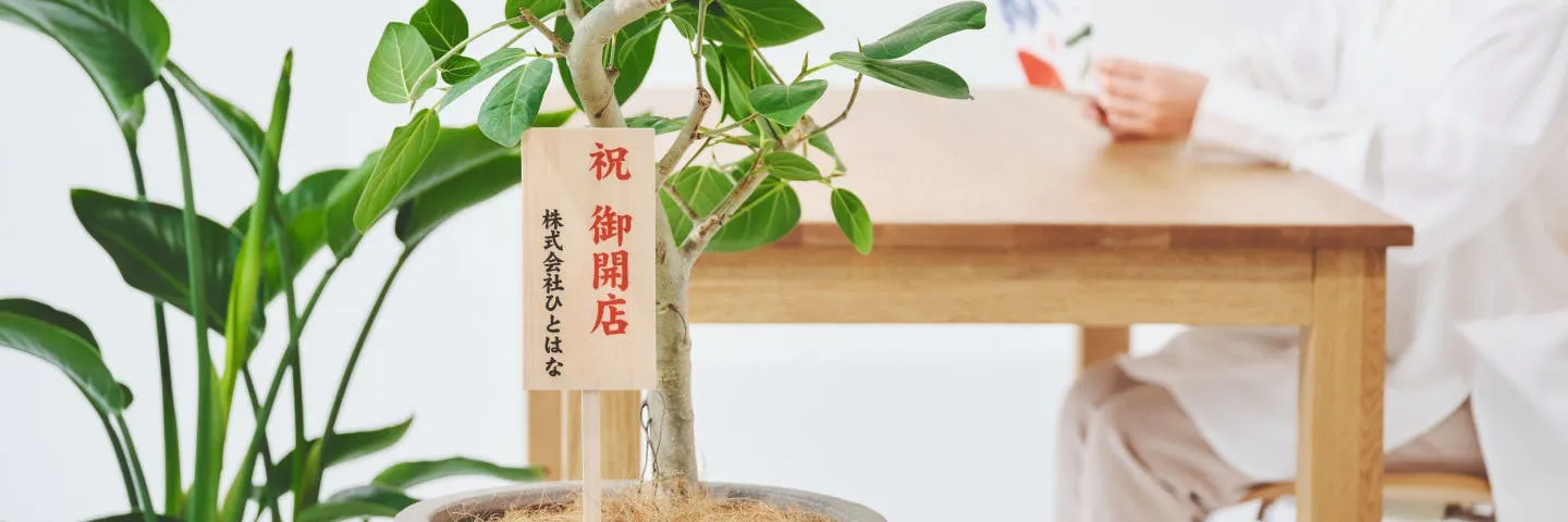 開店・開業・開院 祝いに贈る観葉植物 | 通販専門店 HitoHana（ひとはな）