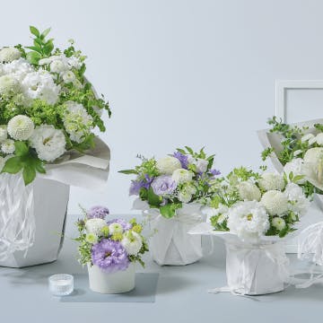 お正月飾り・お正月花 2026年特集 | HitoHana(ひとはな)