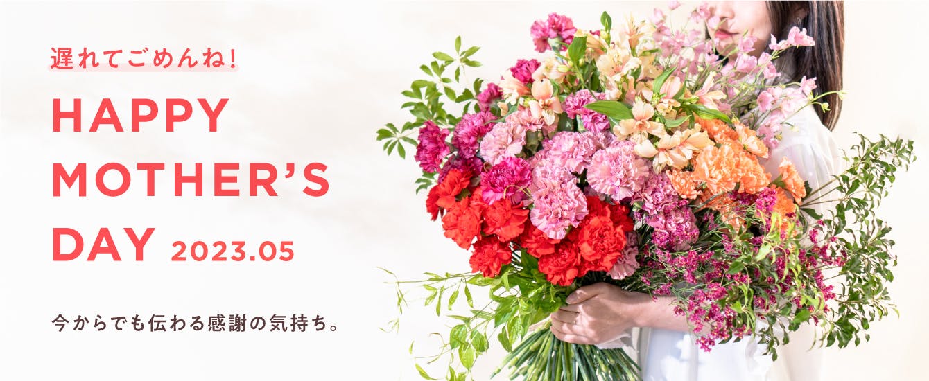 母の日 花 - お花と植物のギフト通販 HitoHana（ひとはな）