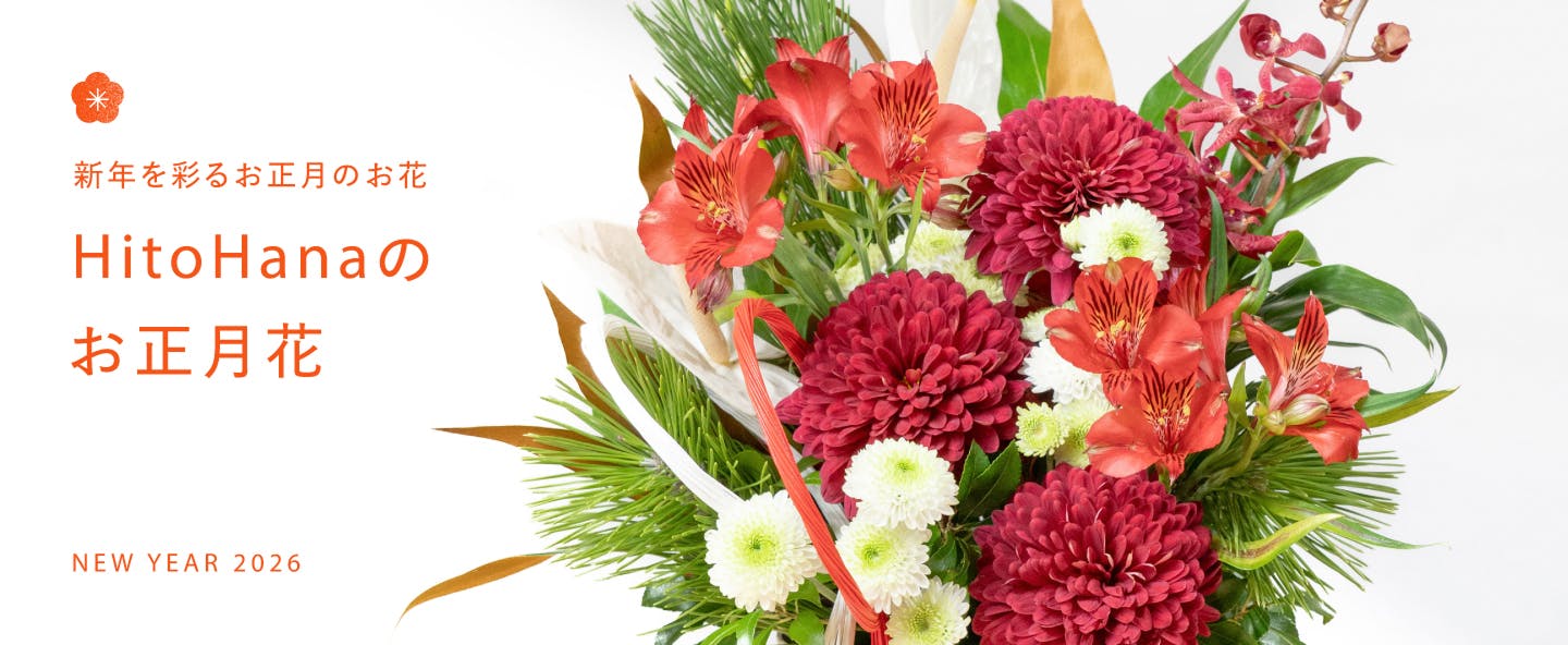 お正月飾り・お正月花 2026年特集 | HitoHana(ひとはな)