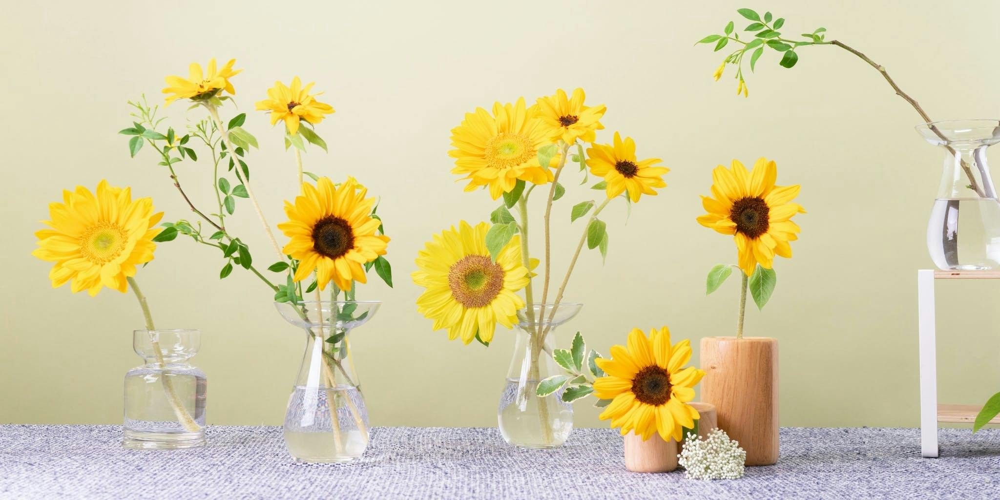 ひまわり 花束 - お花と植物のギフト通販 HitoHana（ひとはな）
