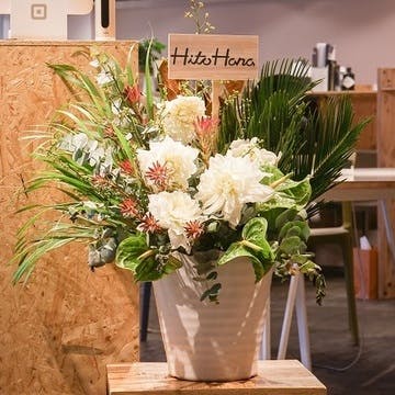 開店 開業祝いに贈るお花の通販 Hitohana ひとはな